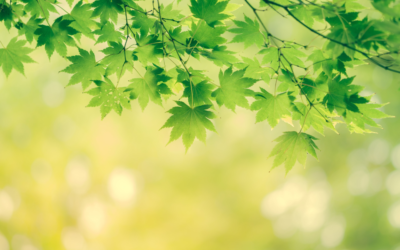 Cuando sanar también es aprender